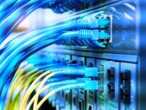 飞禽走兽是贬义词吗介绍